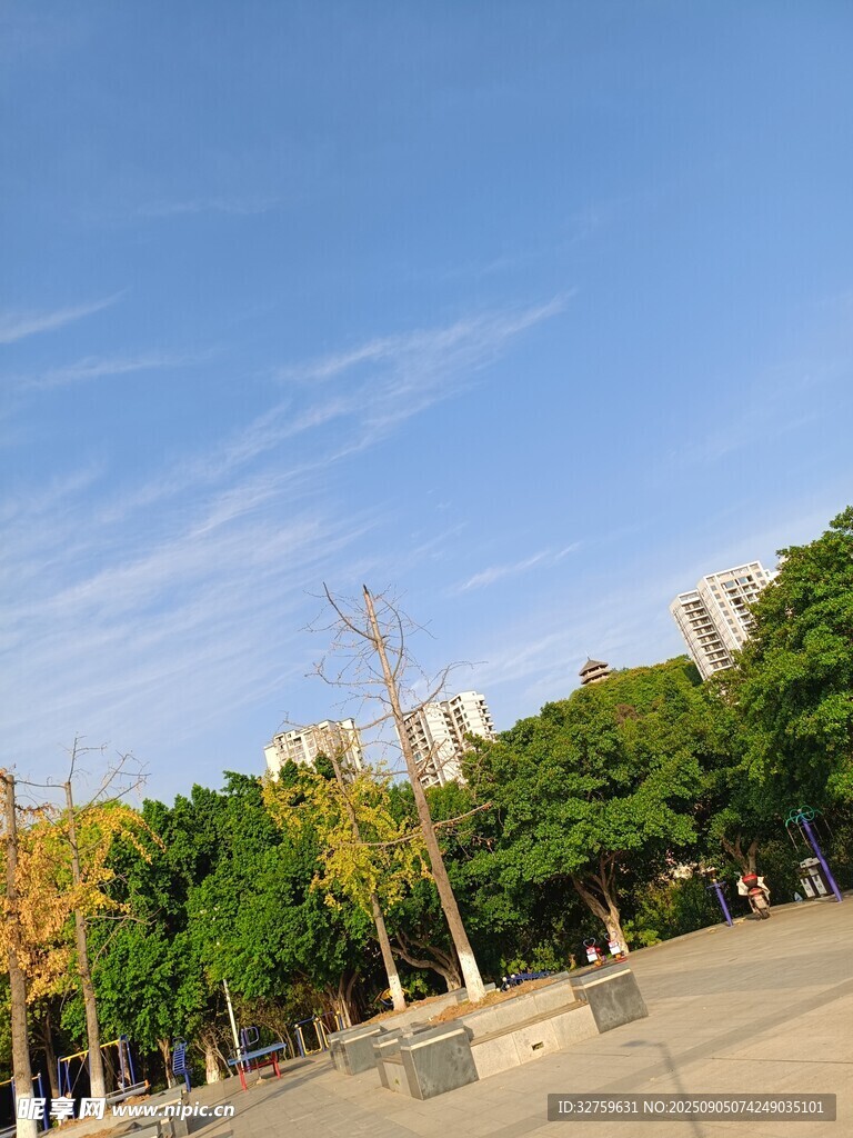 晴朗广场旁的绿树蓝天