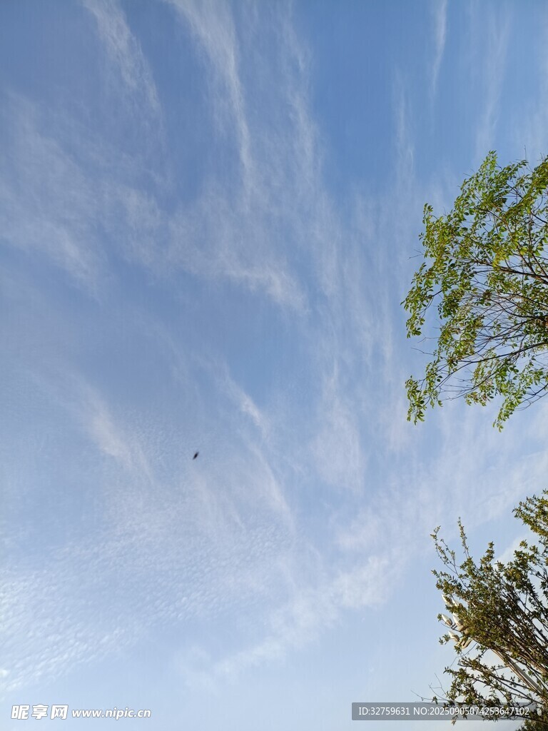 蓝天绿树间的美好景致