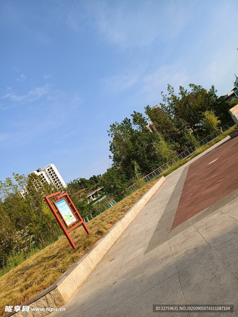 户外林荫步道风景