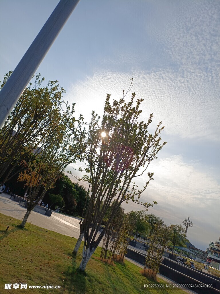 户外道路旁的绿树蓝天