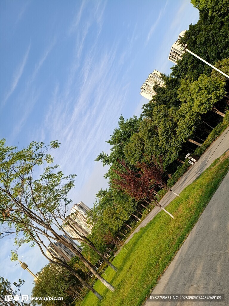 城市道路旁的绿树蓝天