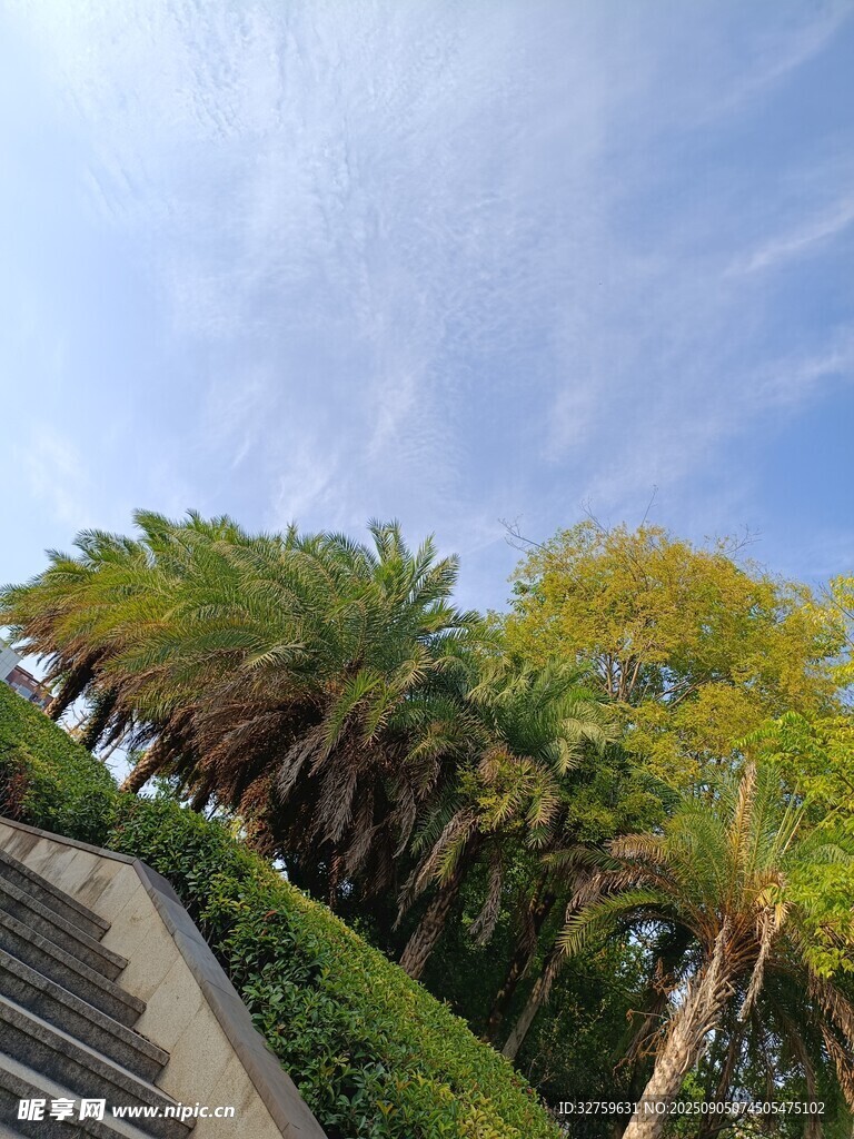 漫步于绿意盎然的阶梯