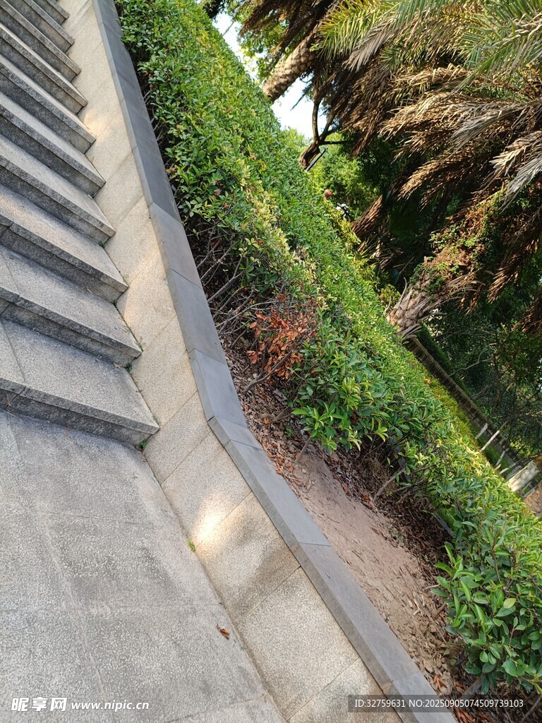 石阶旁绿意盎然的景致