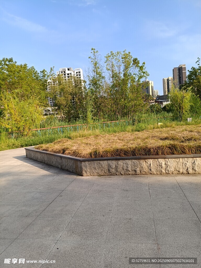 城市边的开阔绿地场景