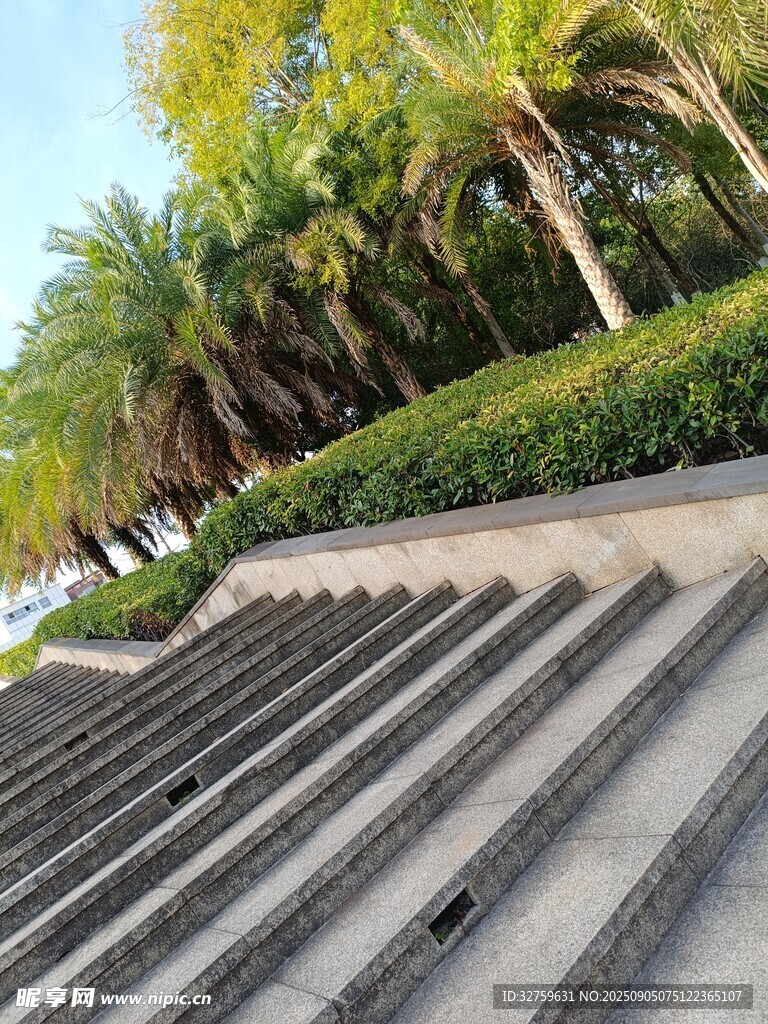 户外阶梯旁的葱郁绿植