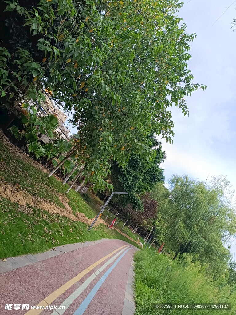 蜿蜒山间公路旁绿意盎然