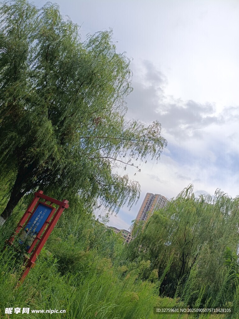 户外绿树旁的红色标识牌