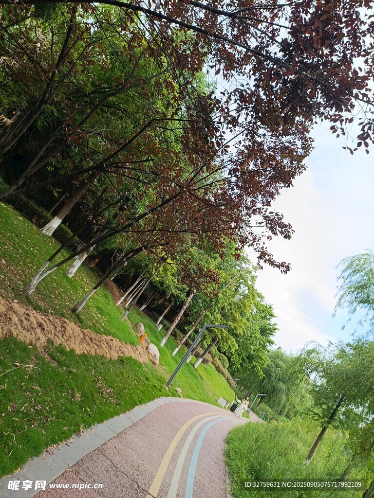 林间漫步道