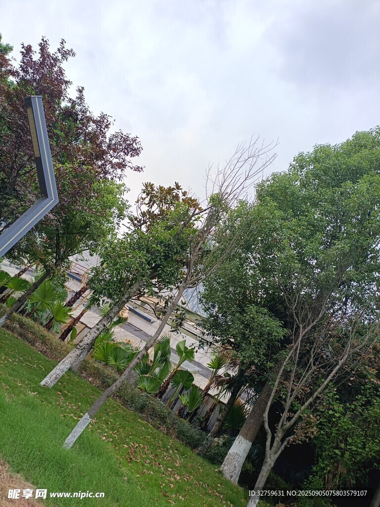 户外绿树环绕的休闲场景