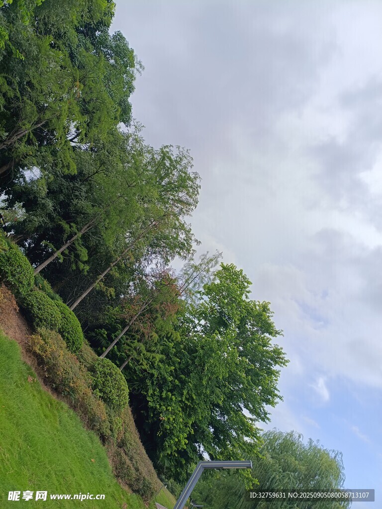 绿意盎然的户外自然景致