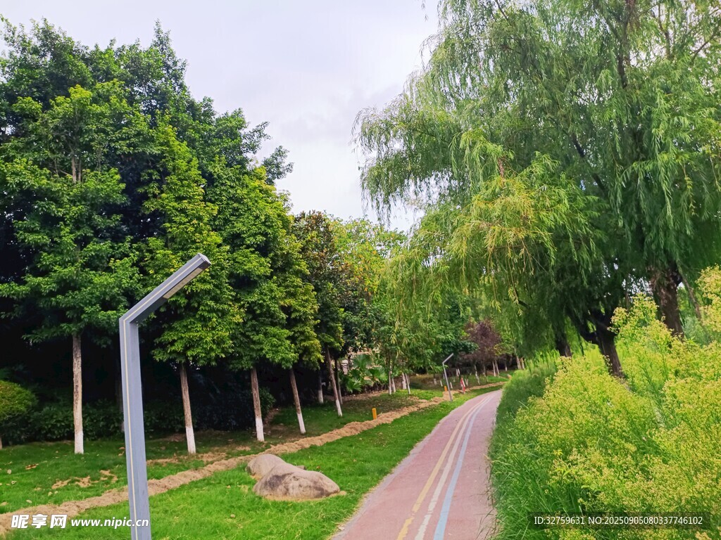 林间小径