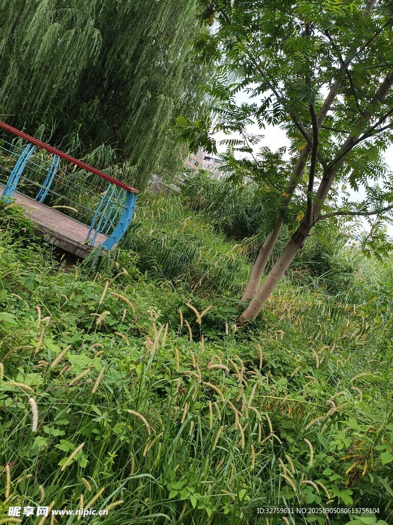 荒废的户外游乐设施场景