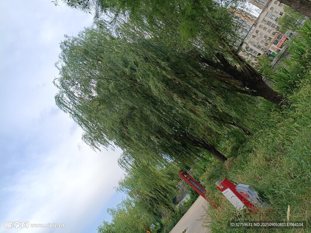 户外绿树草地休闲场景