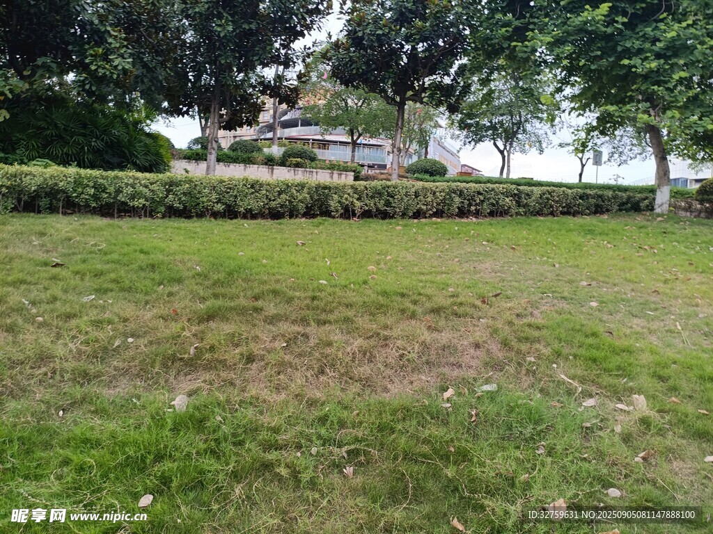户外草地与绿植景观