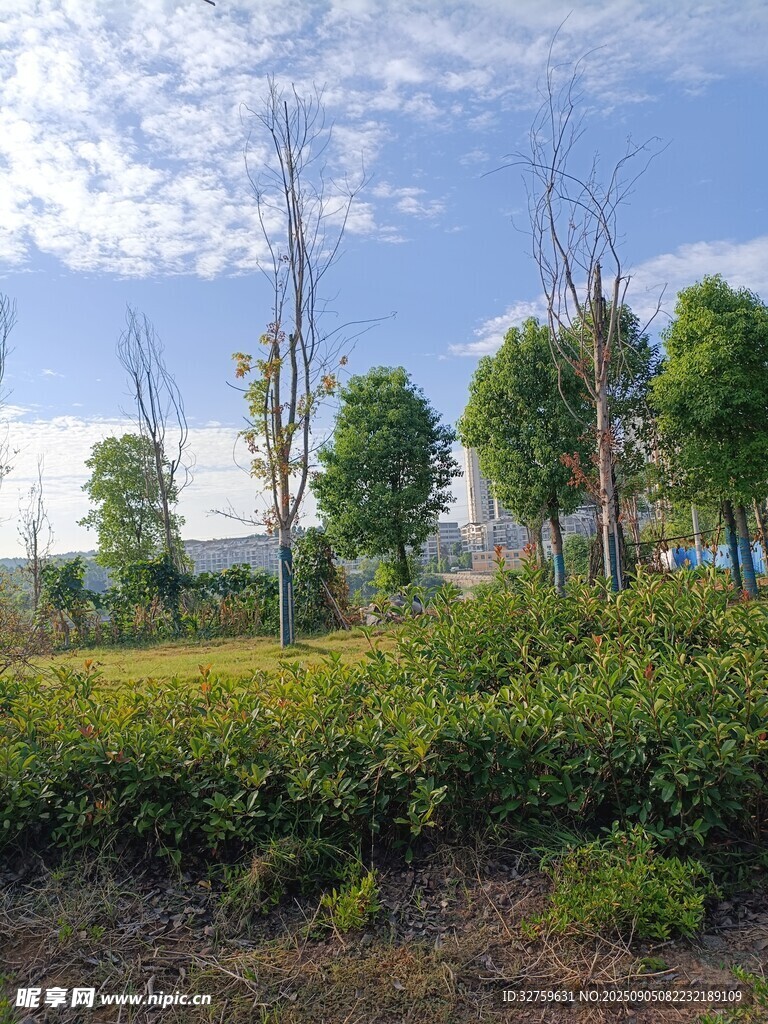 郊外绿意盎然的自然景致