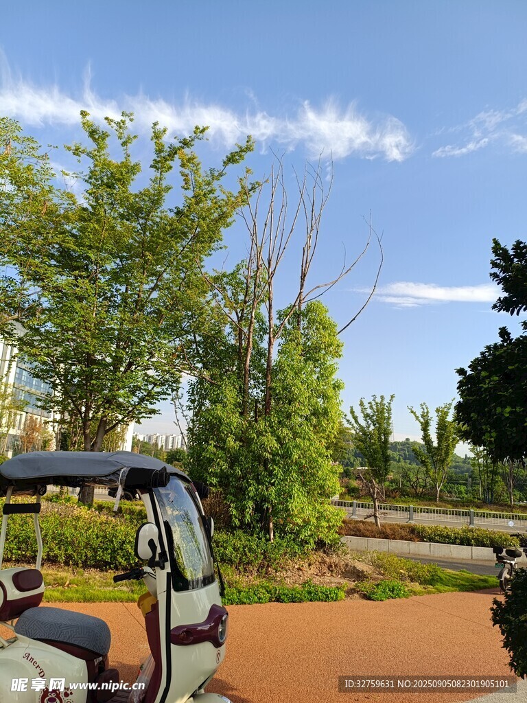 园区内的惬意驾驶风景