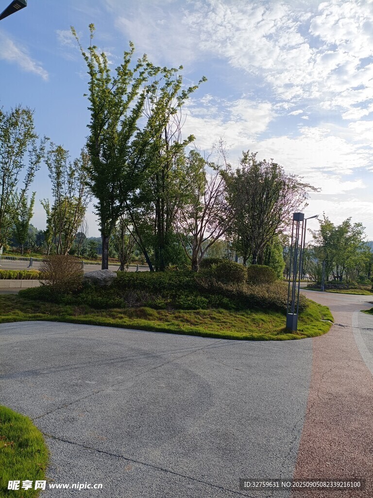 城市公园中的优美景观