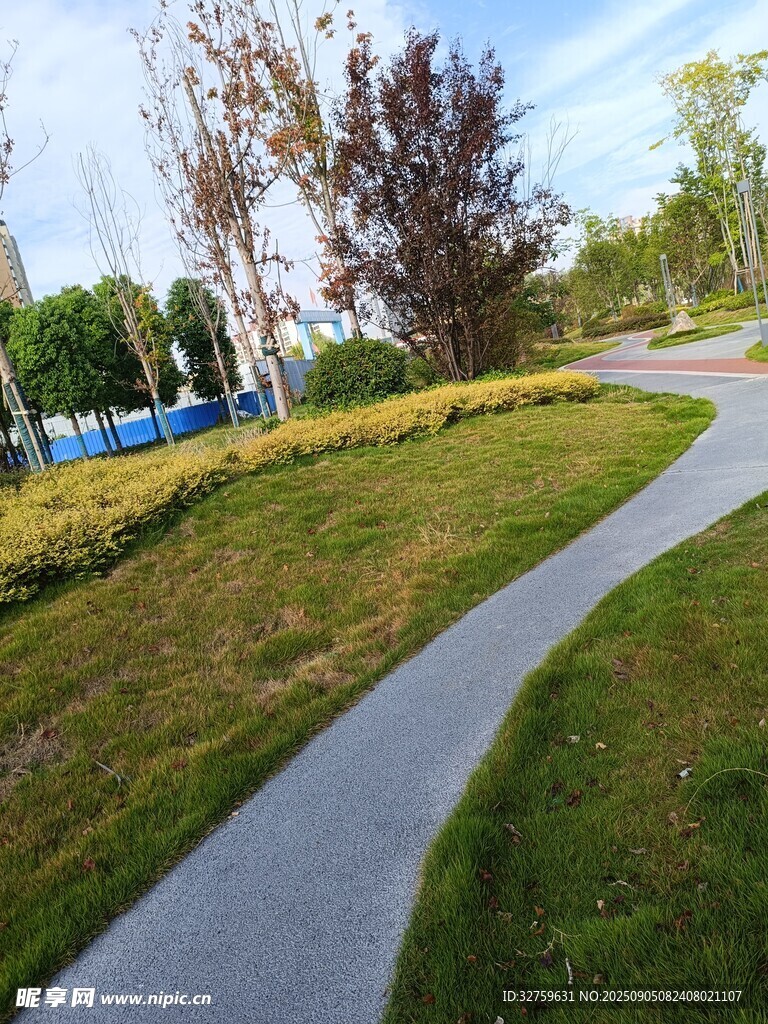 公园中的蜿蜒小径