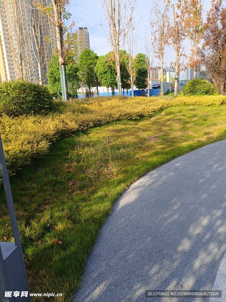 城市中宁静的绿化小径