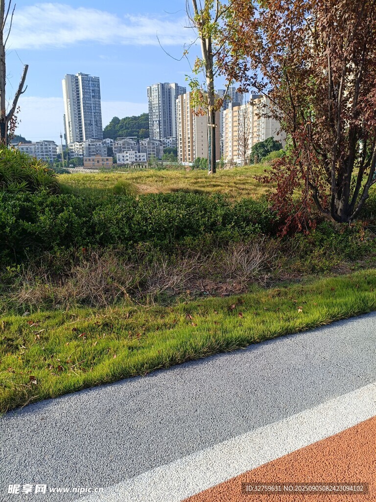 城市路边的自然与建筑风景