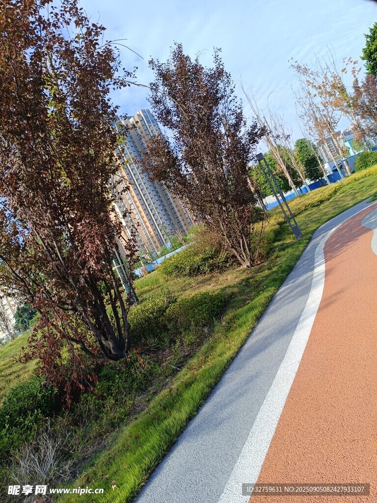 城市中的彩色健身步道