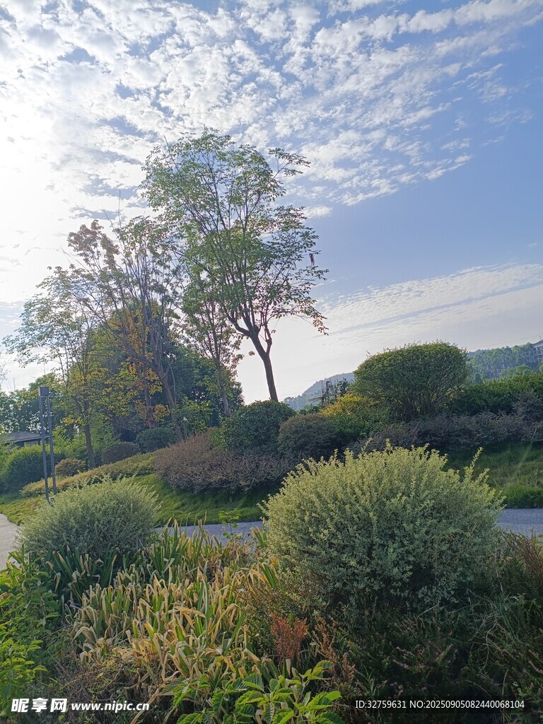 乡村清晨美景