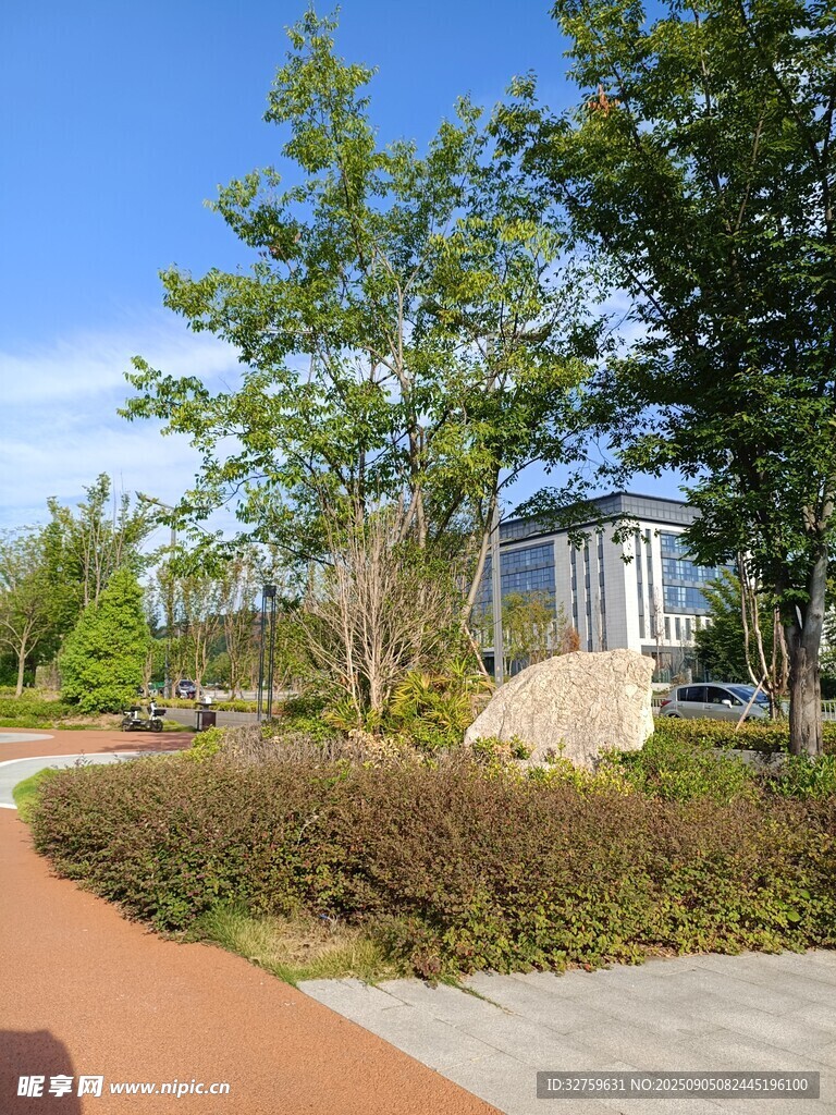 城市公园中的自然景致