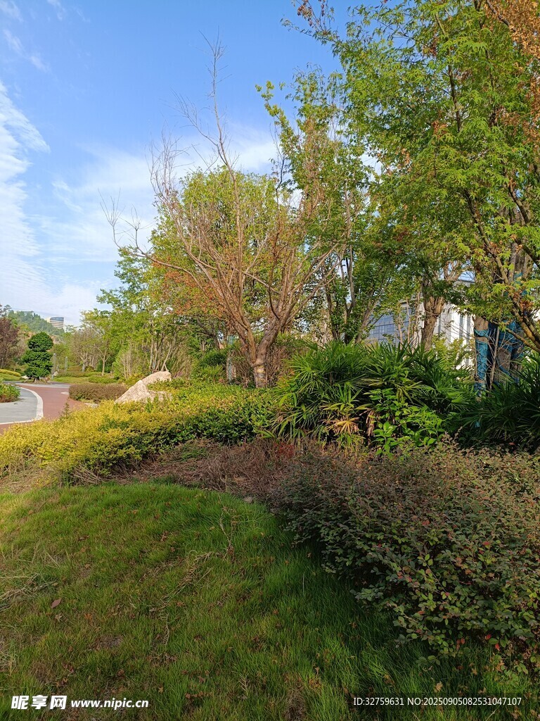 城市中的绿意盎然景观