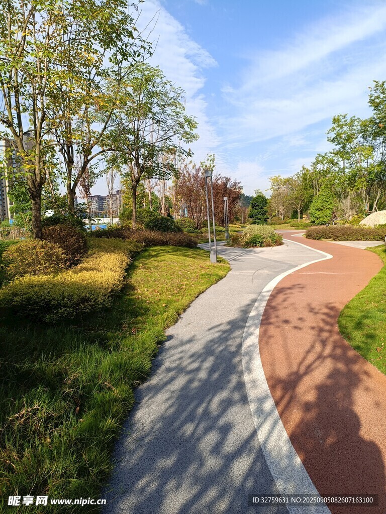 公园蜿蜒小径与绿植景观
