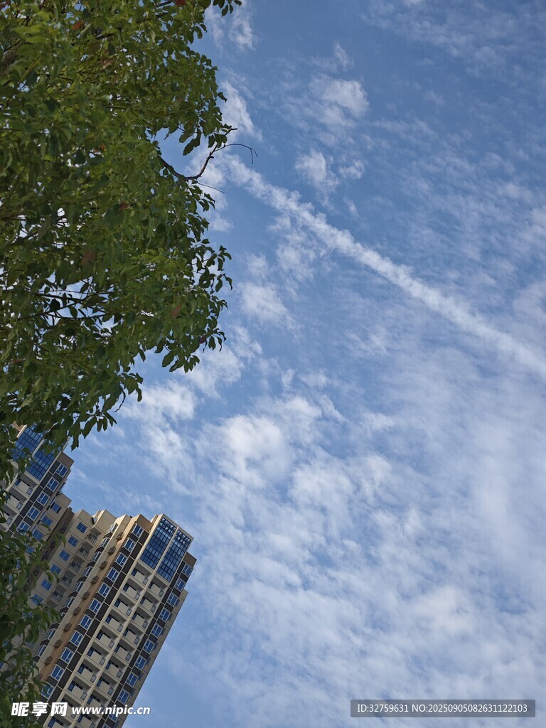 蓝天绿树间的城市天际线