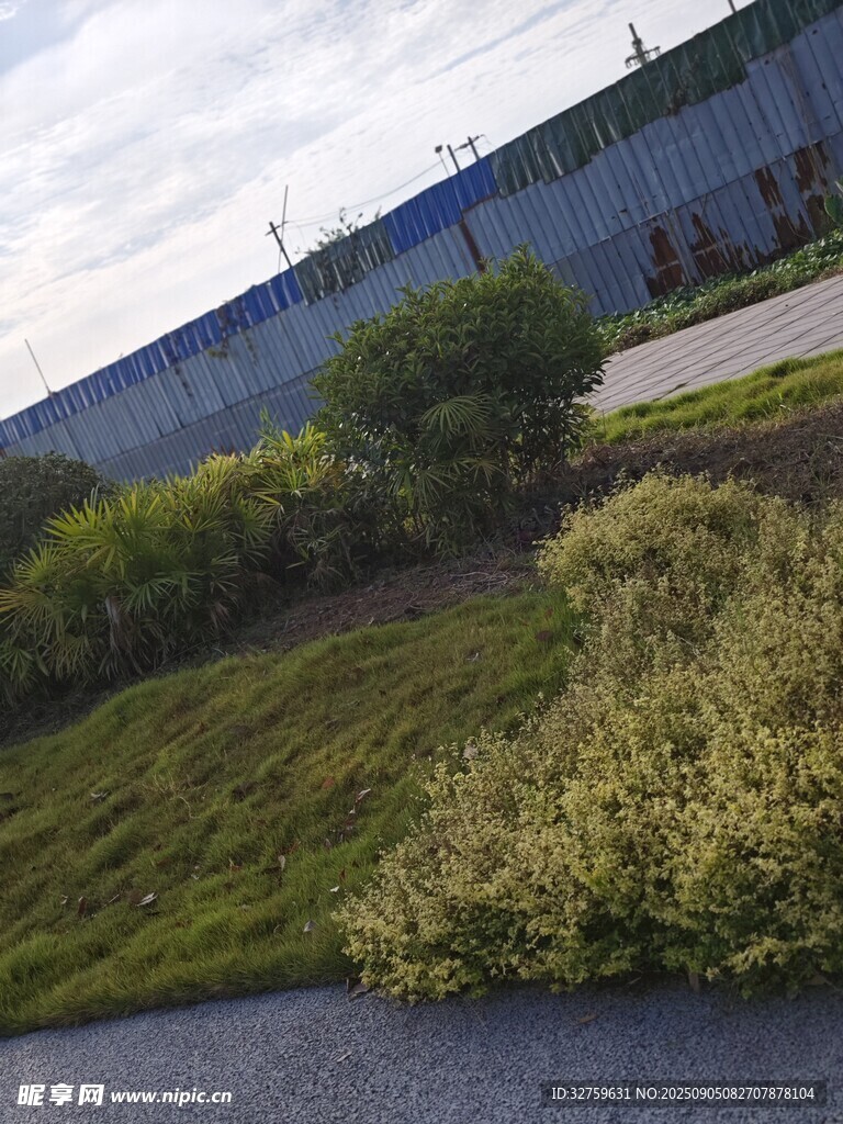 工厂旁的绿植景观