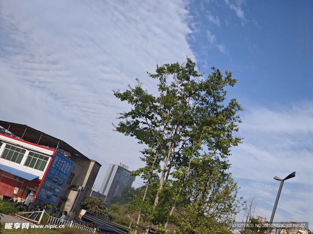 蓝天绿树旁的红顶建筑