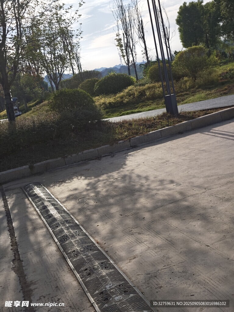 户外道路旁的绿化景观
