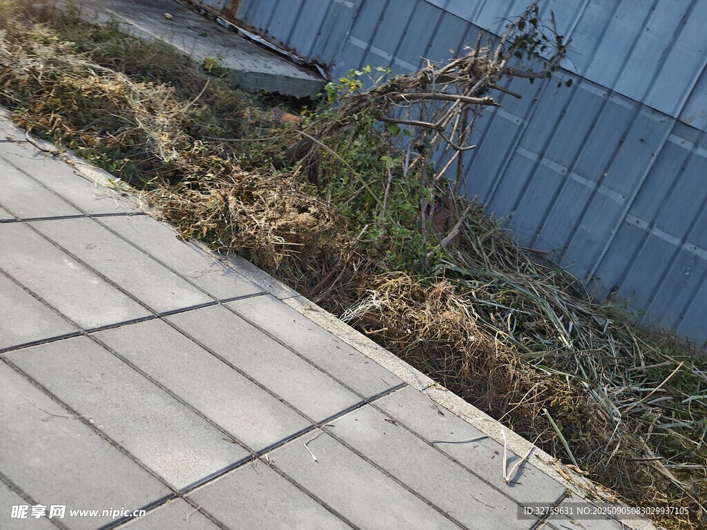 户外地面旁的杂草与围栏