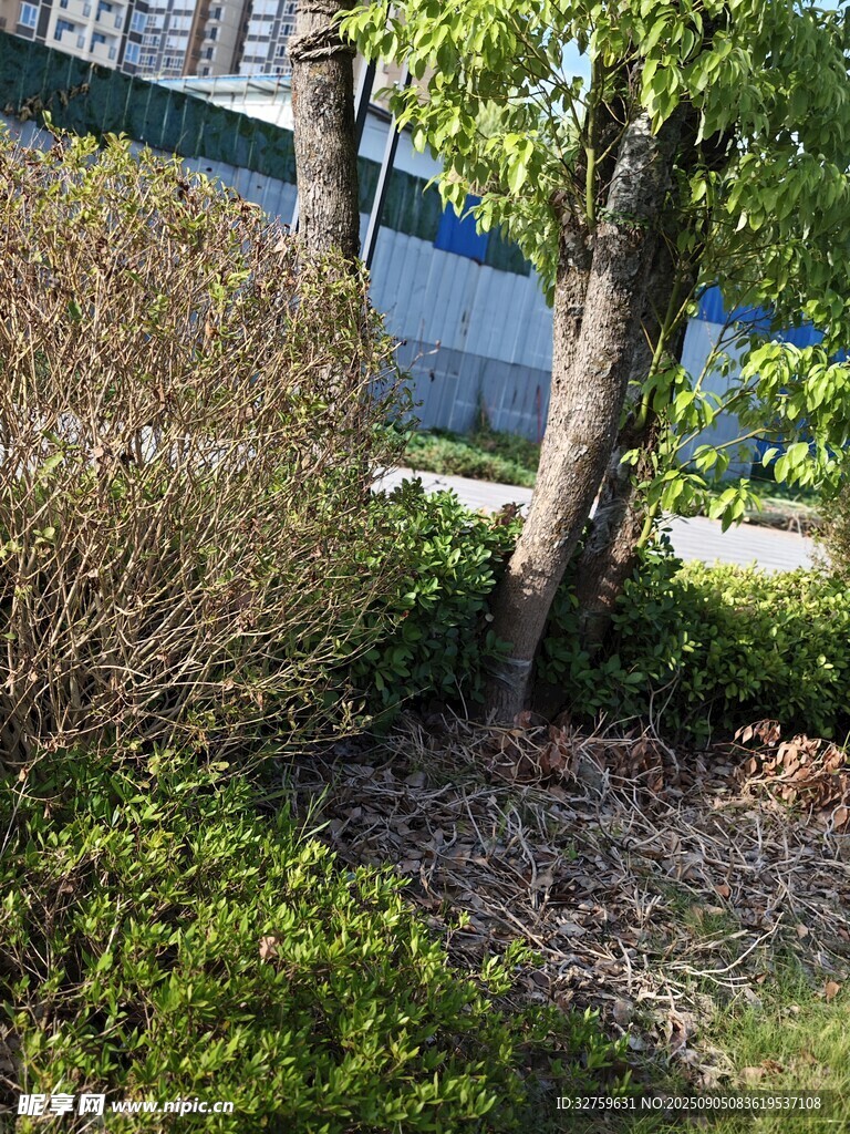 户外绿植景观一角