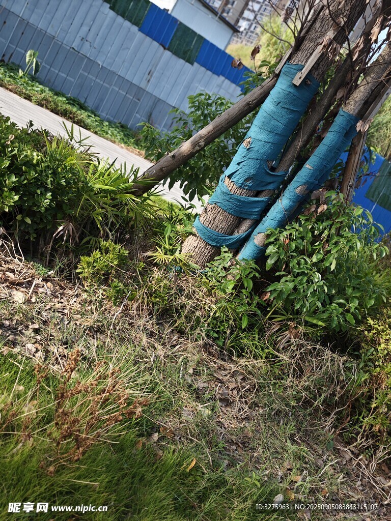 工人在户外进行除草工作