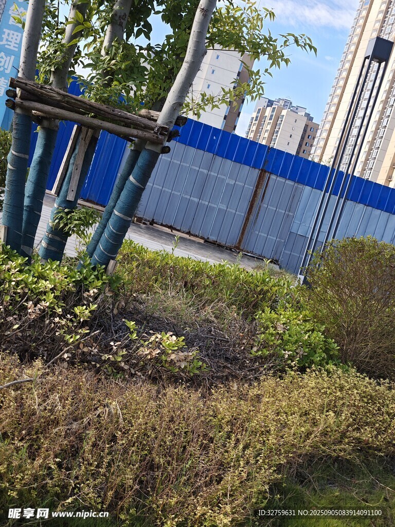 户外绿植与围栏景观