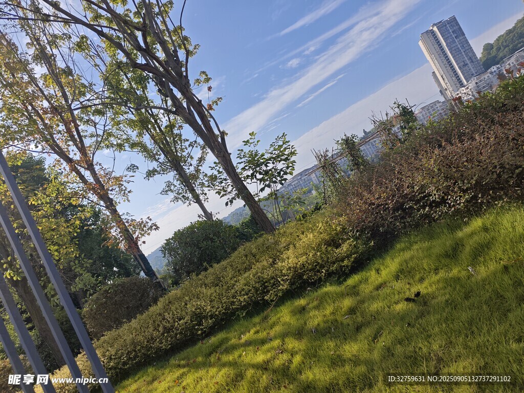 城市绿地风光