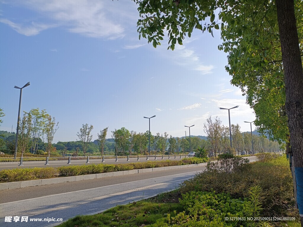 郊外公路旁的清新风景