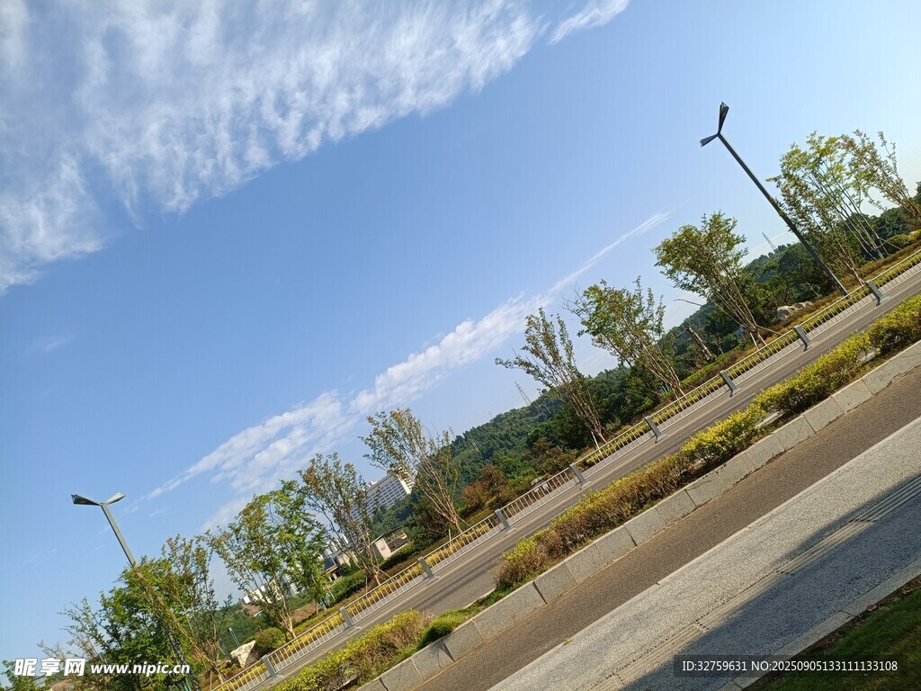 晴朗道路旁的绿树蓝天