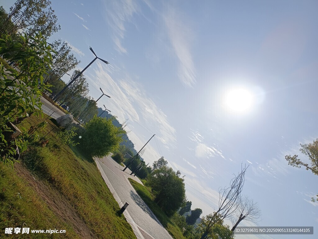 晴朗户外风景