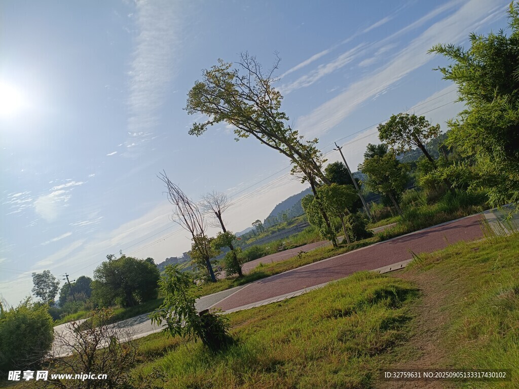 乡村路旁风景