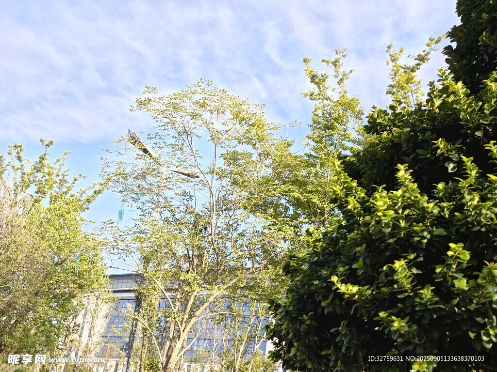 绿树蓝天间的建筑一角