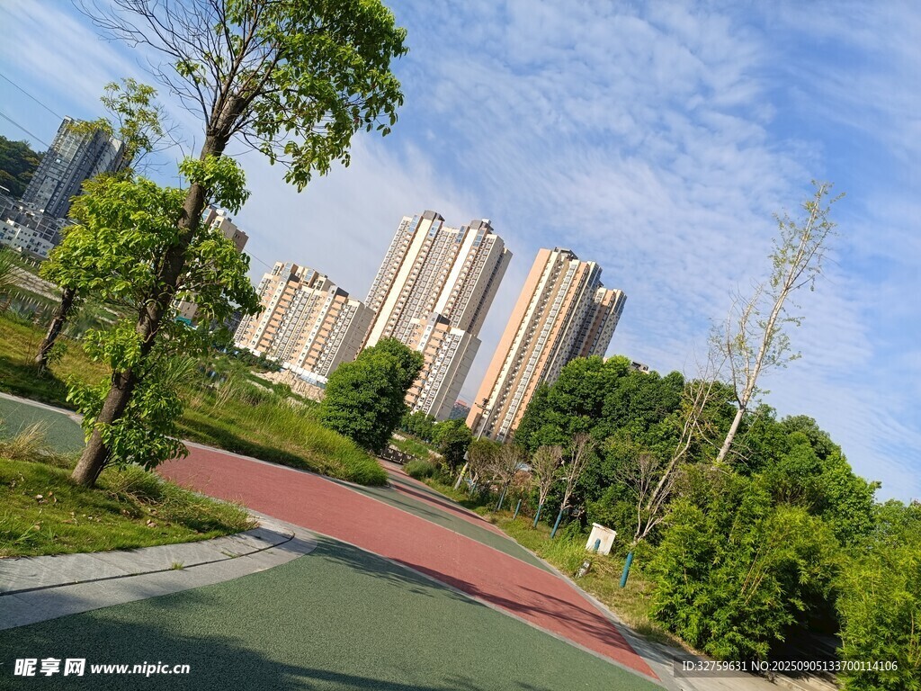 城市中的绿意跑道与高楼