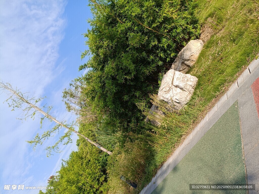 路边绿植与石块景观