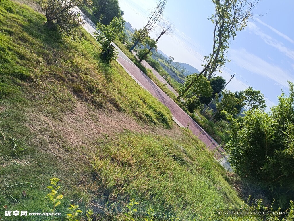 乡村绿意盎然的小路风景