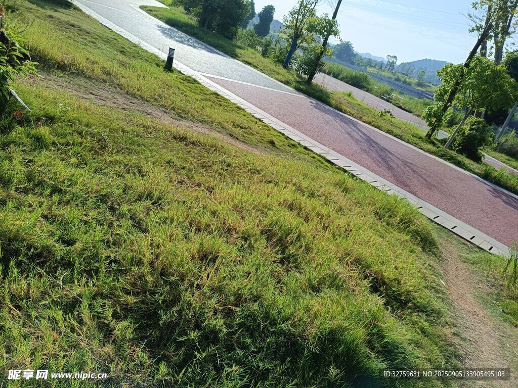 郊外草地旁的蜿蜒小路