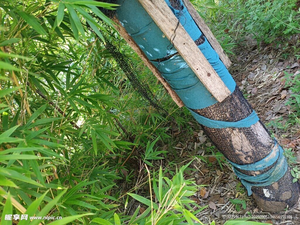 老旧蓝绿管道埋于草丛中