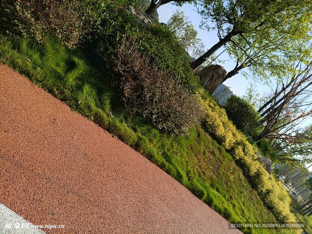 城市中色彩鲜艳的步道景观