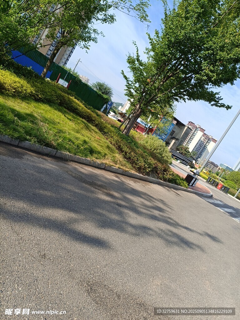 城市道路旁的绿树景观